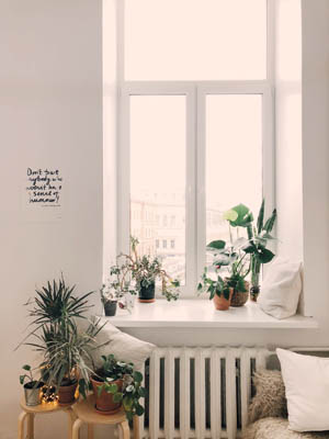 Casement Windows