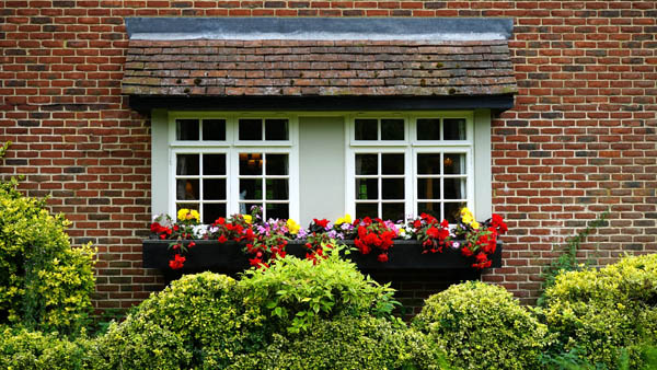 Garden Windows
